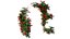Rose plant set 45