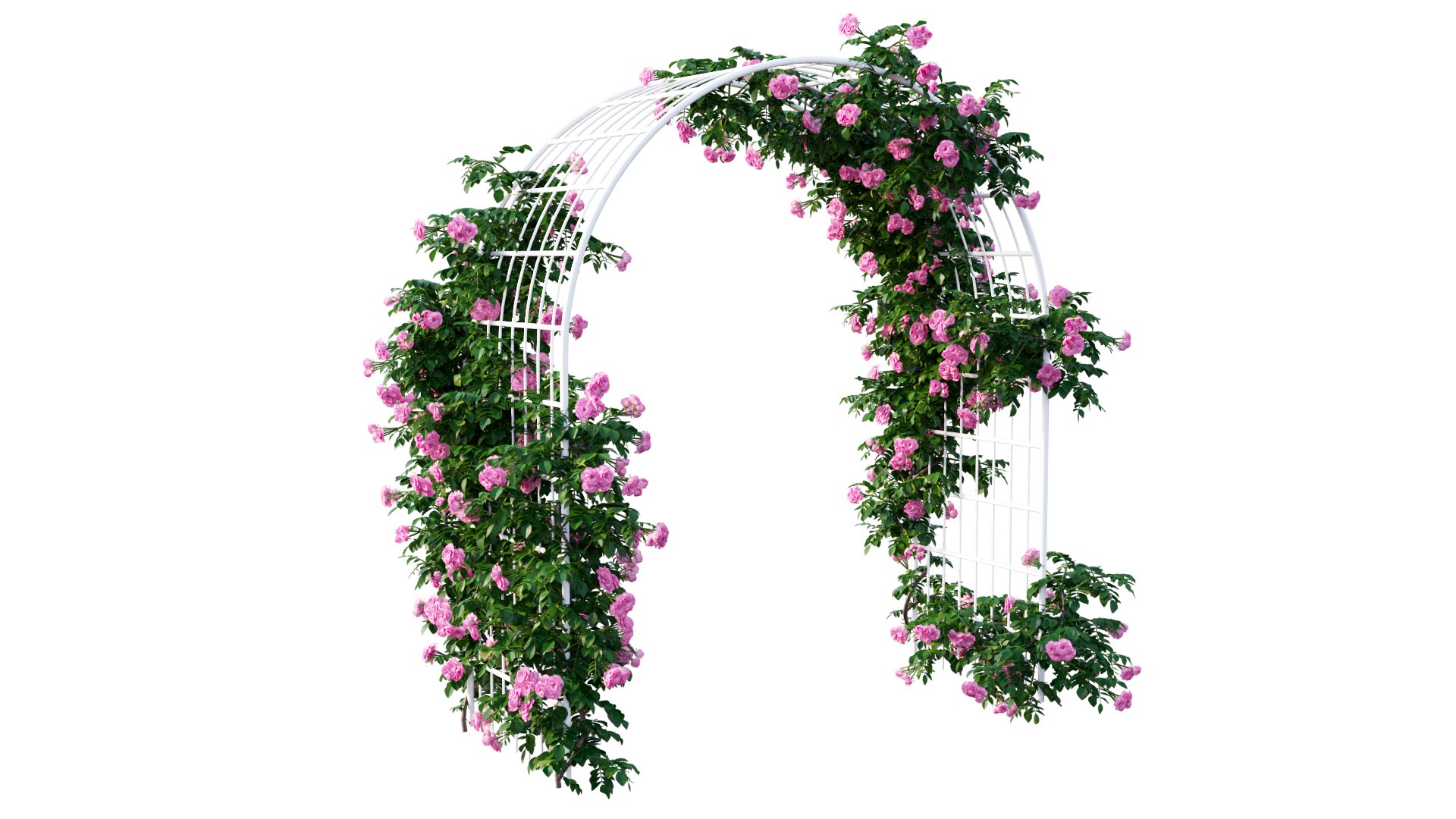 plant set 45 model https://p.turbosquid.com/ts-thumb/Sy/nUuO2w/zr/3_interactivelightmix/png/1607527410/1920x1080/fit_q87/7f6547b4e611ef2e53609ff511ad586641d364a1/3_interactivelightmix.jpg