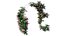 Rose plant set 45