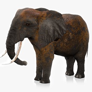 3D African Elephant RIGGED L2365