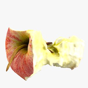 3d realistic stub apple model