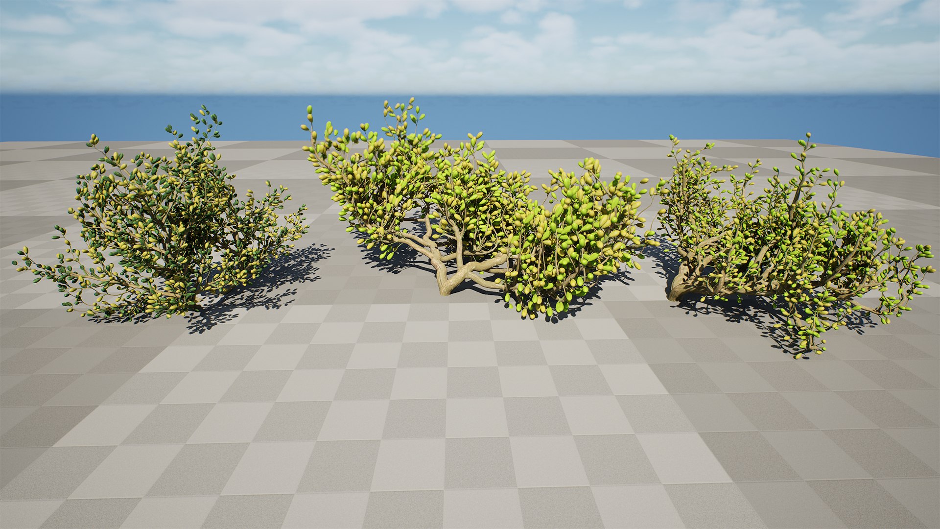 3D Arabian Peninsula Zygophyllum Mandavillei model https://p.turbosquid.com/ts-thumb/Sz/36B4mW/T1/highresscreenshot00004/jpg/1762373658/1920x1080/fit_q87/642992f64bcac5a130d0a04e0f21d150fecec2ae/highresscreenshot00004.jpg