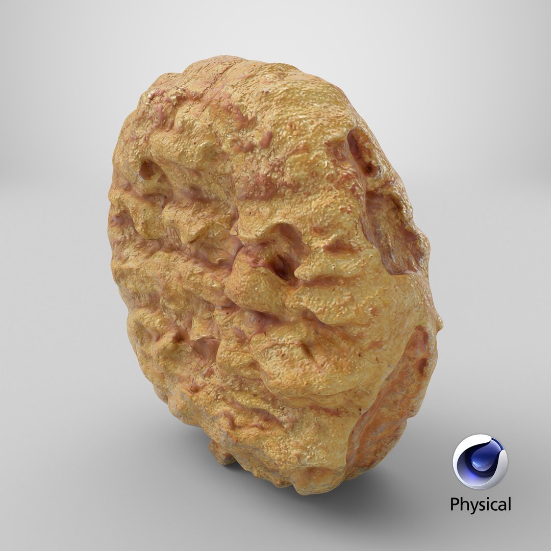 3D Chicken Nugget 03 https://p.turbosquid.com/ts-thumb/Sz/4cnx8q/vC/stemcell_cinema_4d_physical_render/png/1707972746/1920x1080/fit_q87/1e3c6ec445b0982e00682aa1935bb1c5fc053104/stemcell_cinema_4d_physical_render.jpg