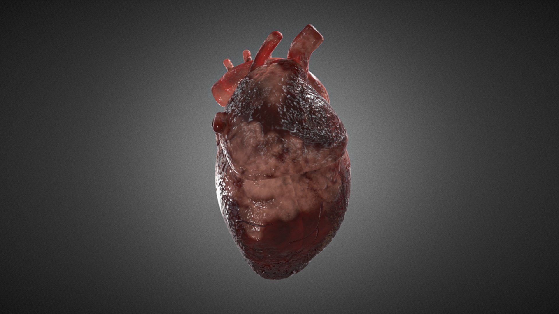 Realistic Human Heart 3D https://p.turbosquid.com/ts-thumb/Sz/C8GMbU/Wx/04/jpg/1664776151/1920x1080/fit_q87/49cc027350d1bccea3279ac60901687b1e0f1b7b/04.jpg