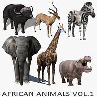 African Animals Vol.1
