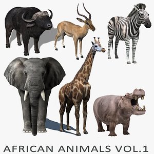 african animals vol 1 3d model