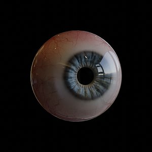 Realistic Eye Editable model