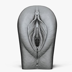 Anatomy of a Vagina for Study