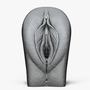 Anatomy of a Vagina for Study
