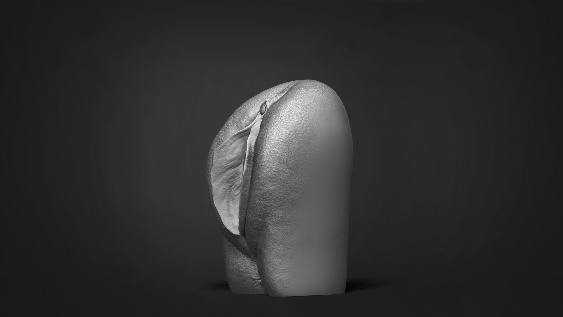 Anatomy Of The Vagina3D TurboSquid 1673058