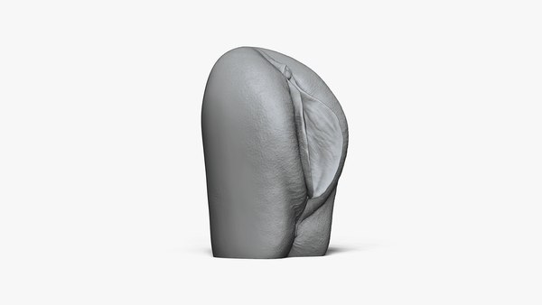 Vagina Anatomy 3d Turbosquid 1673058