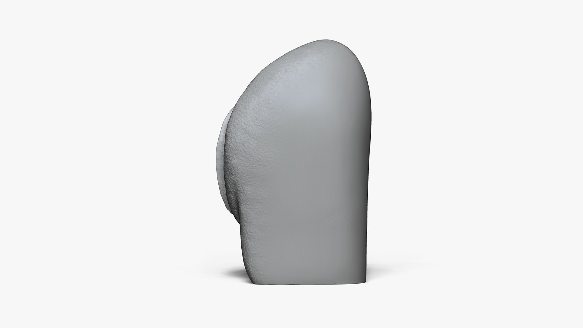 vagina anatomy 3D https://p.turbosquid.com/ts-thumb/Sz/dfKLZx/GT/4/jpg/1654790889/1920x1080/fit_q87/763a3b122cca719e5d8c8dfca0f6ca2db58406b7/4.jpg