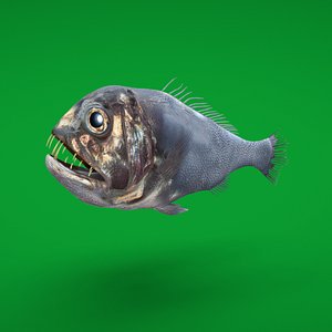 Fangtooth Deep Sea Fish 3D model