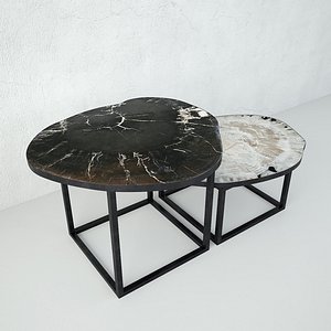 Petrified Wood Slice Coffee Tables 5 3D