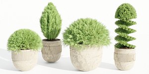 3D juniper cypress collection vol 114-Blender model