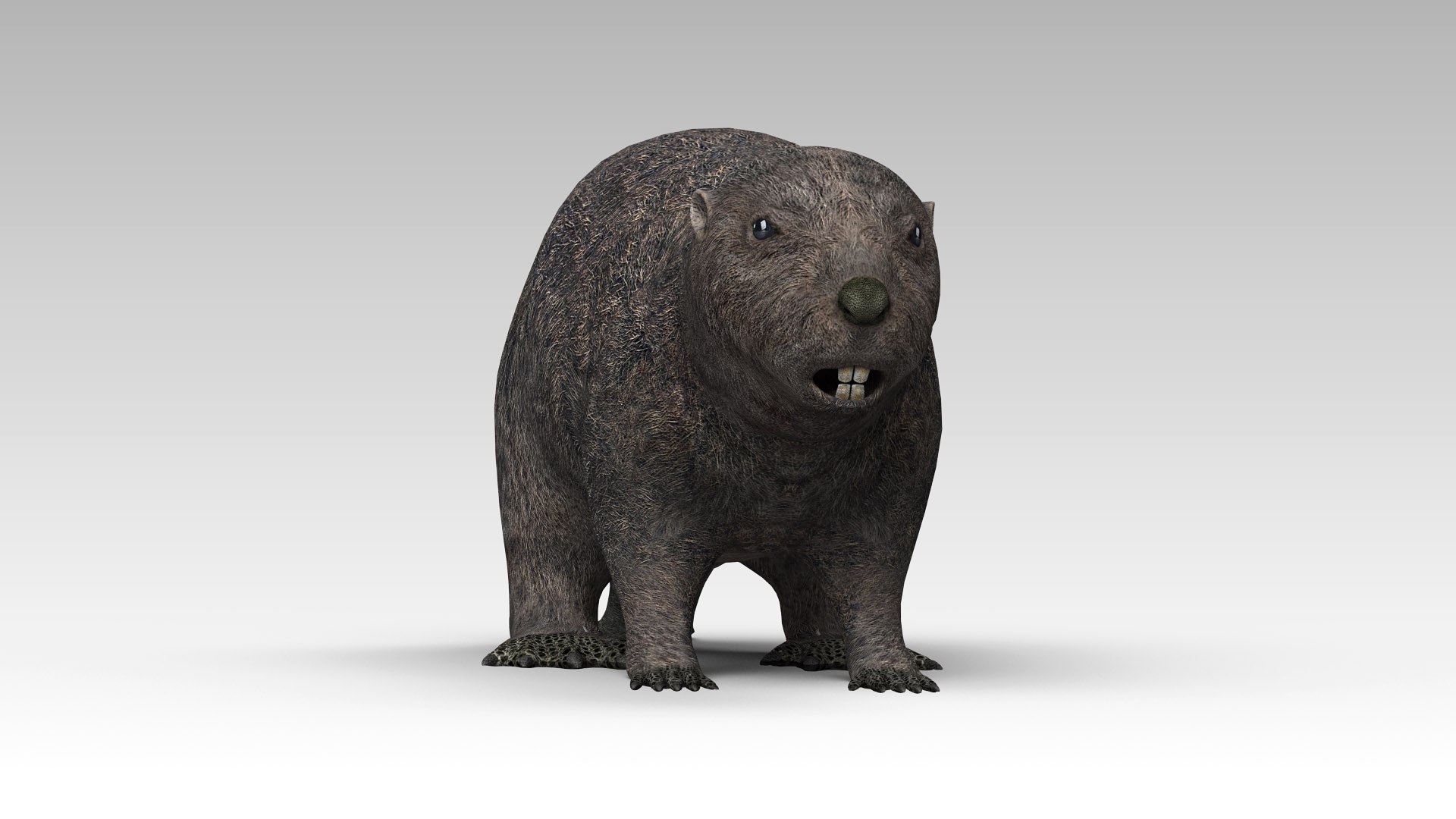 Max Beavers