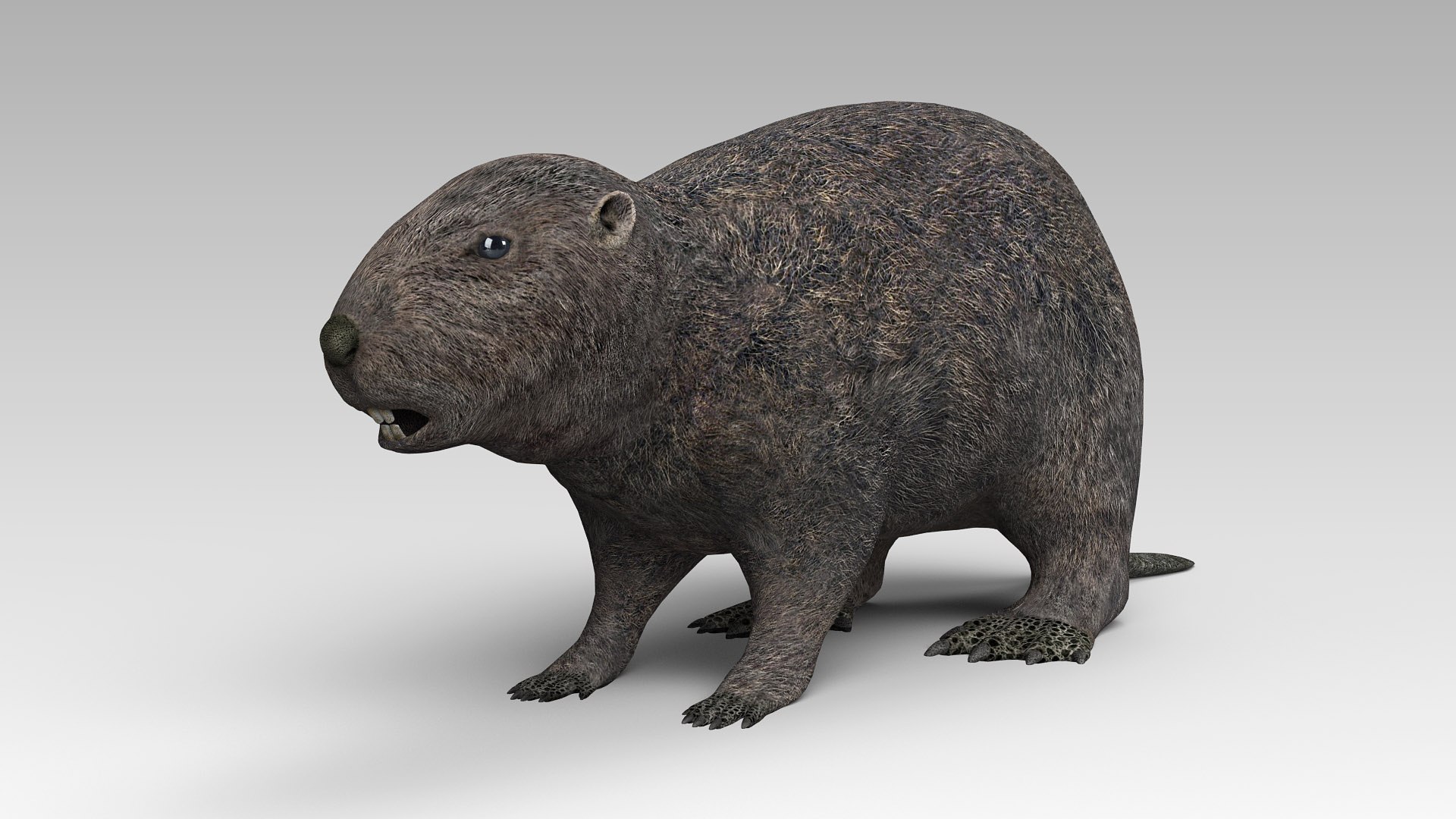 Max Beavers