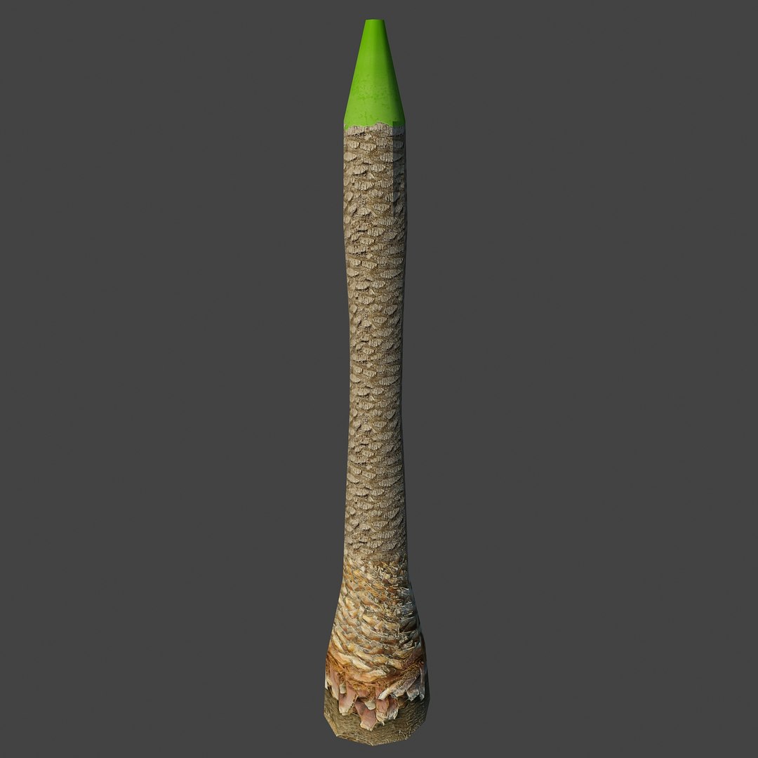 Max Palm Tree