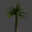 Max Palm Tree