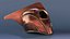 Rocketeer