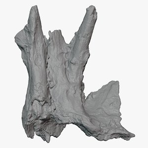 Tree Trunk Piece 07 - For 3D Print 3D model