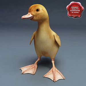 3d duckling pose1 model