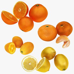 3D Citrus fruits model