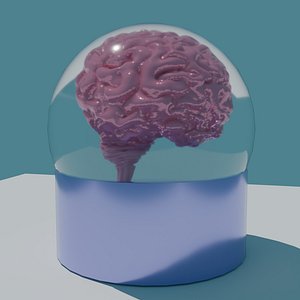 Brain in a Glass Case 3D