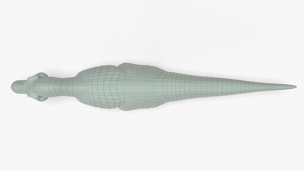 modelo 3d Tyrannosaurus Rex Rigged Basemesh - TurboSquid 2064492