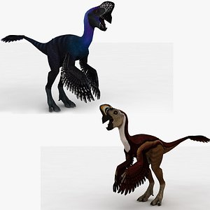 3D model 2 in 1 Oviraptor Rigged and Animated