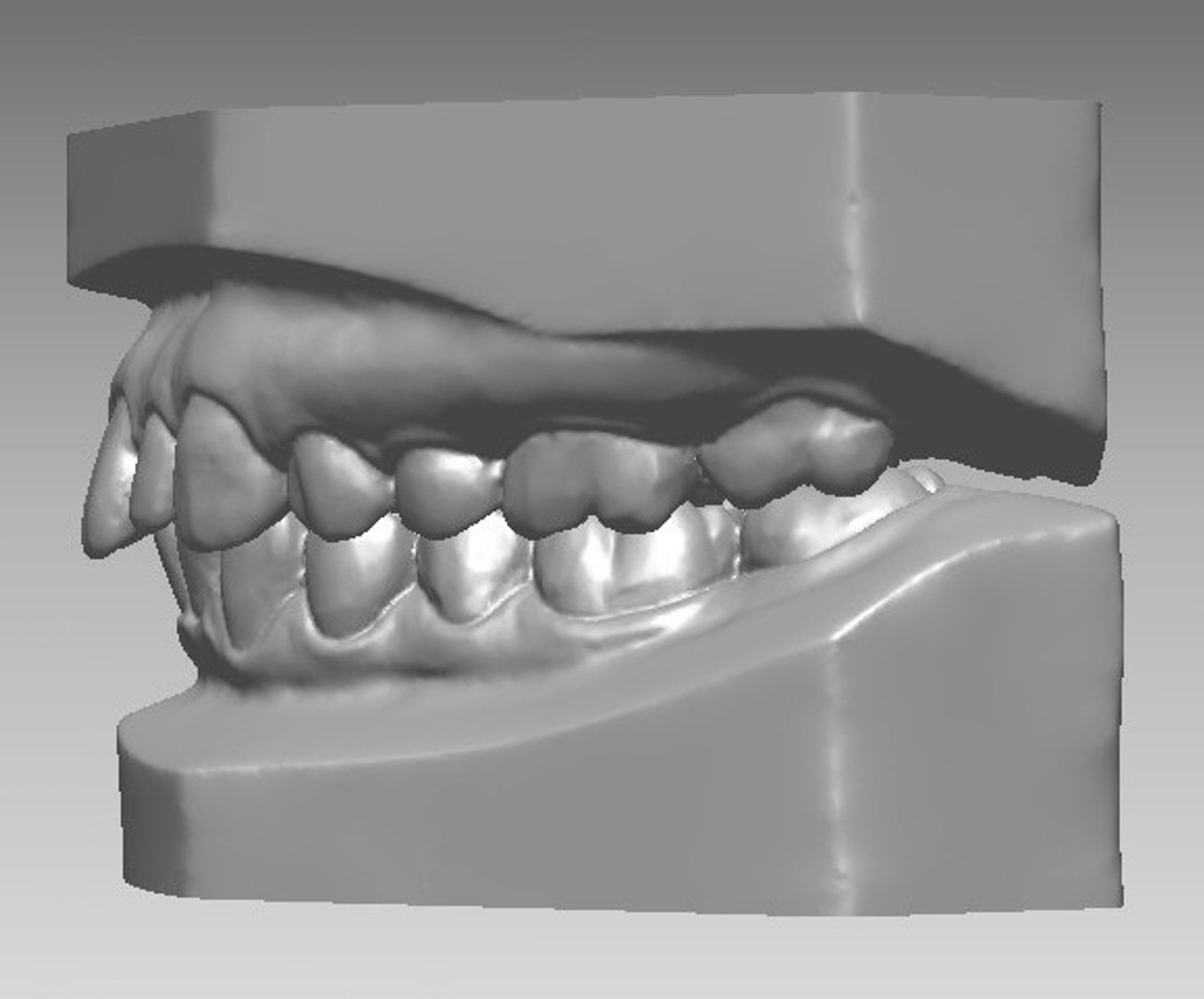 3d real human https://p.turbosquid.com/ts-thumb/T0/efyF7m/F0eUdZeP/4/jpg/1345619639/1920x1080/fit_q87/f0fbc753412ae6b96f830fed78eda96acd40eb58/4.jpg