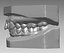 human teeth