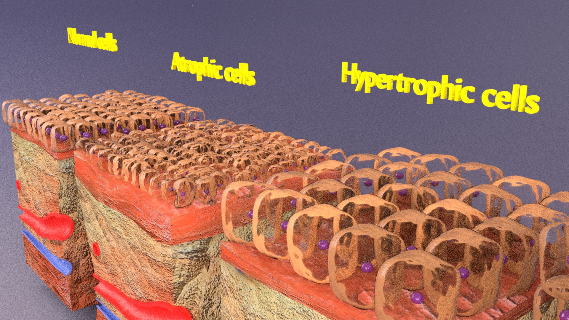 3D cellular adaptation - TurboSquid 1701655