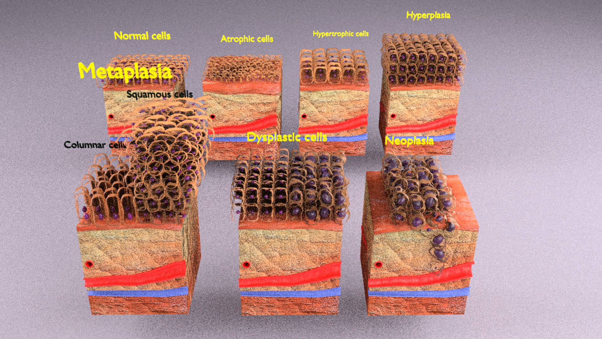 3D cellular adaptation - TurboSquid 1701655