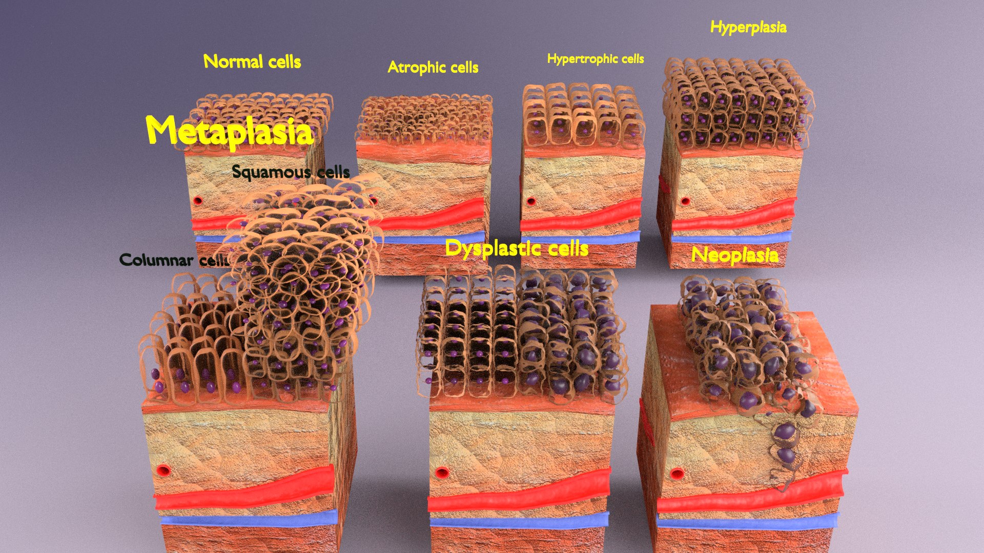 3D cellular adaptation - TurboSquid 1701655