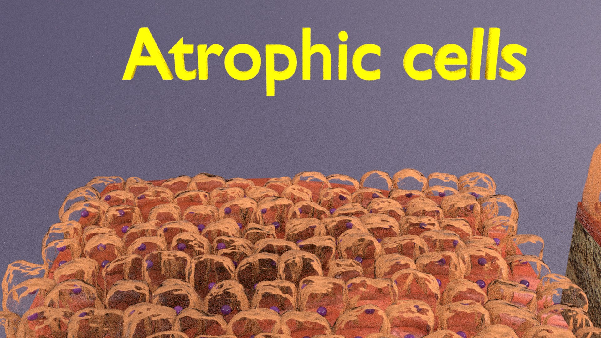 3D cellular adaptation - TurboSquid 1701655