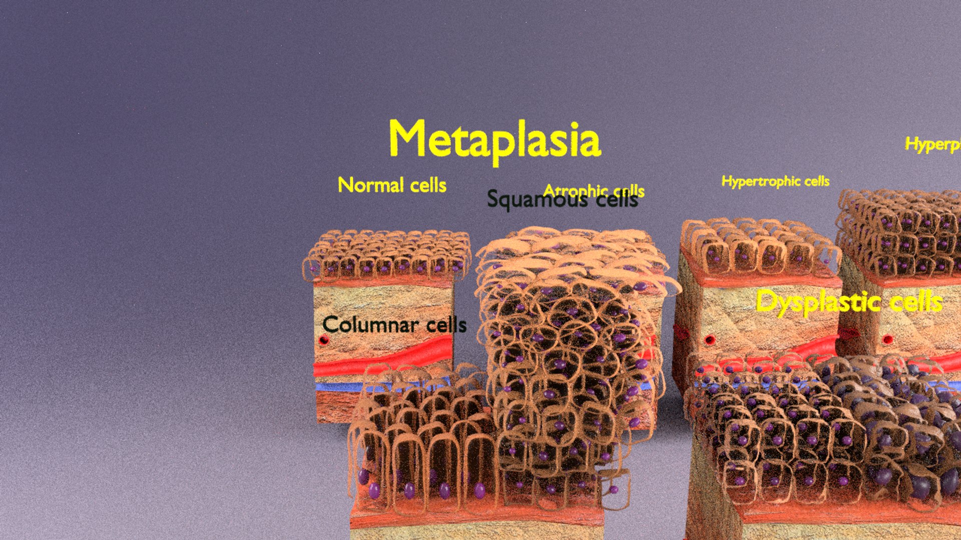 3D cellular adaptation - TurboSquid 1701655