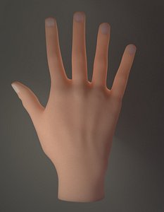 Hand Model