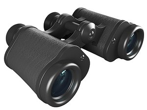 3D Binoculars