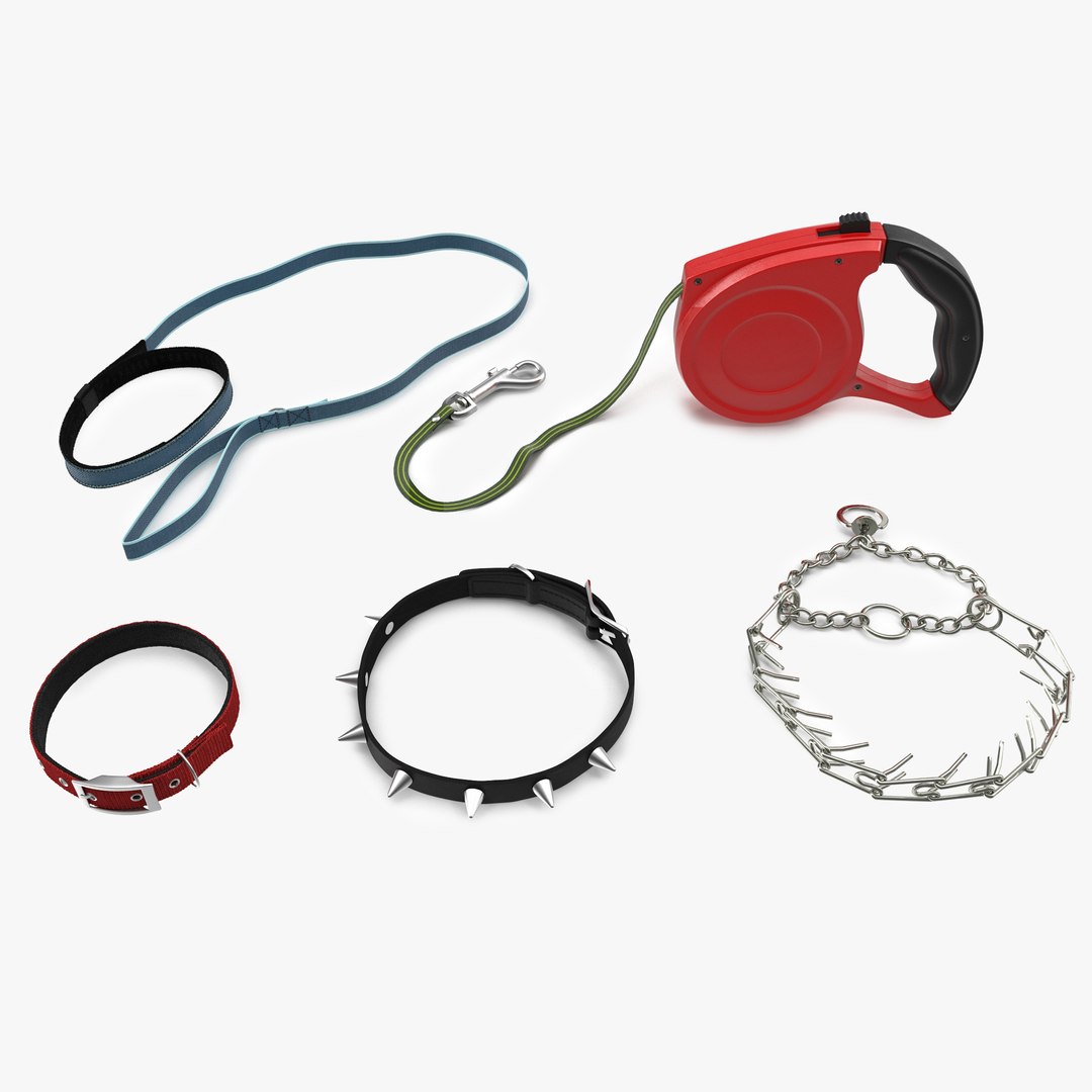 Dog Collar and Leashes 3D Models Collection 3D model preview