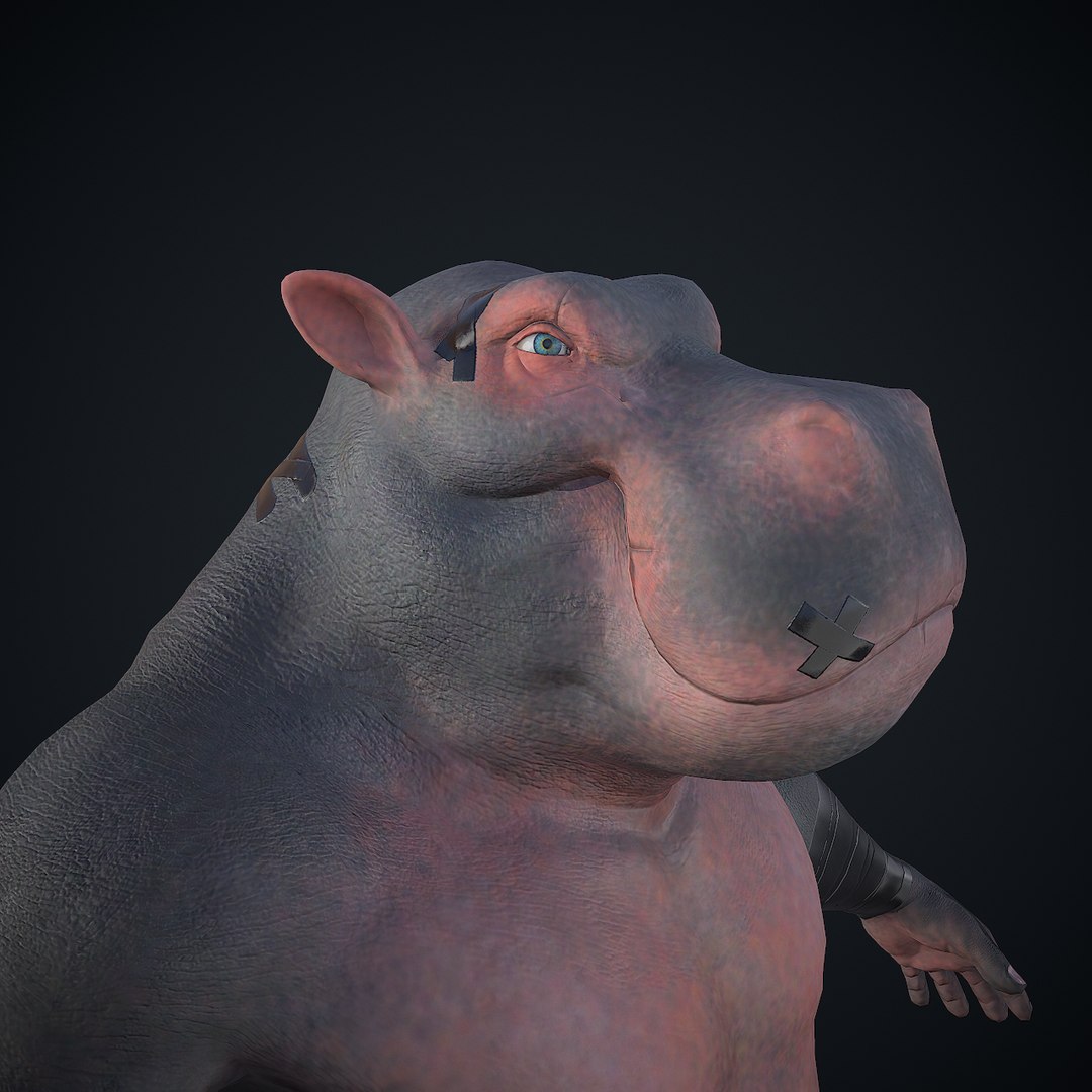 3D hippopotamus character model https://p.turbosquid.com/ts-thumb/T1/1eMcSt/vhmFsmlc/screenshot007/png/1589048276/1920x1080/fit_q87/69a99eef0eea4f95bab9f8624ddd20e197a676ee/screenshot007.jpg