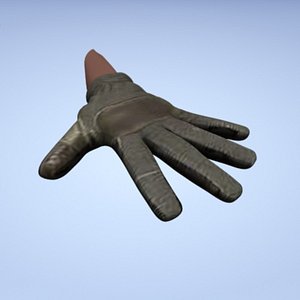 Gloves