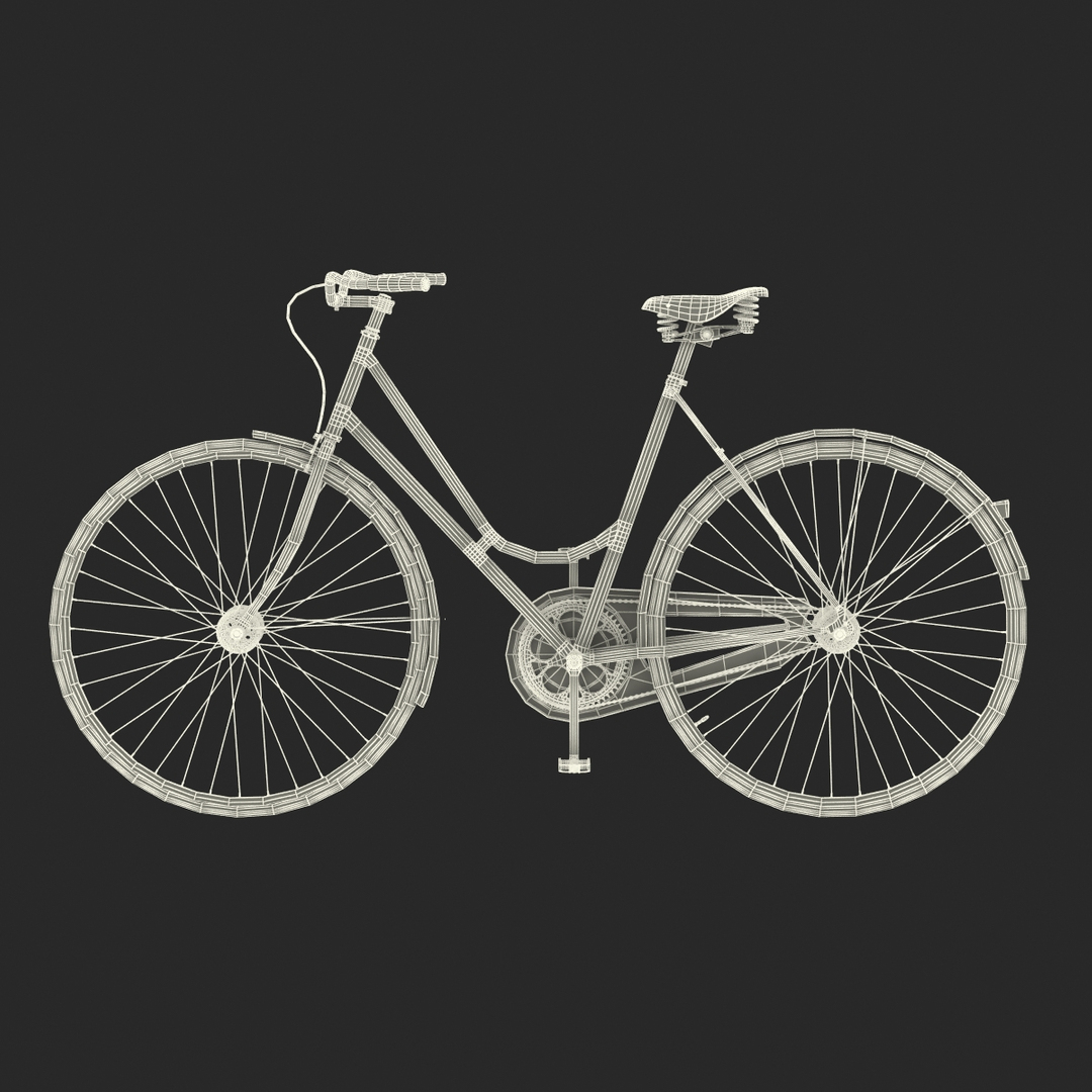 Max city i store bike