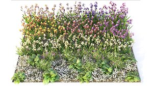 Flowerbed 7 3D
