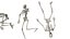 Skeleton Laying Poses - Low-poly 3D model