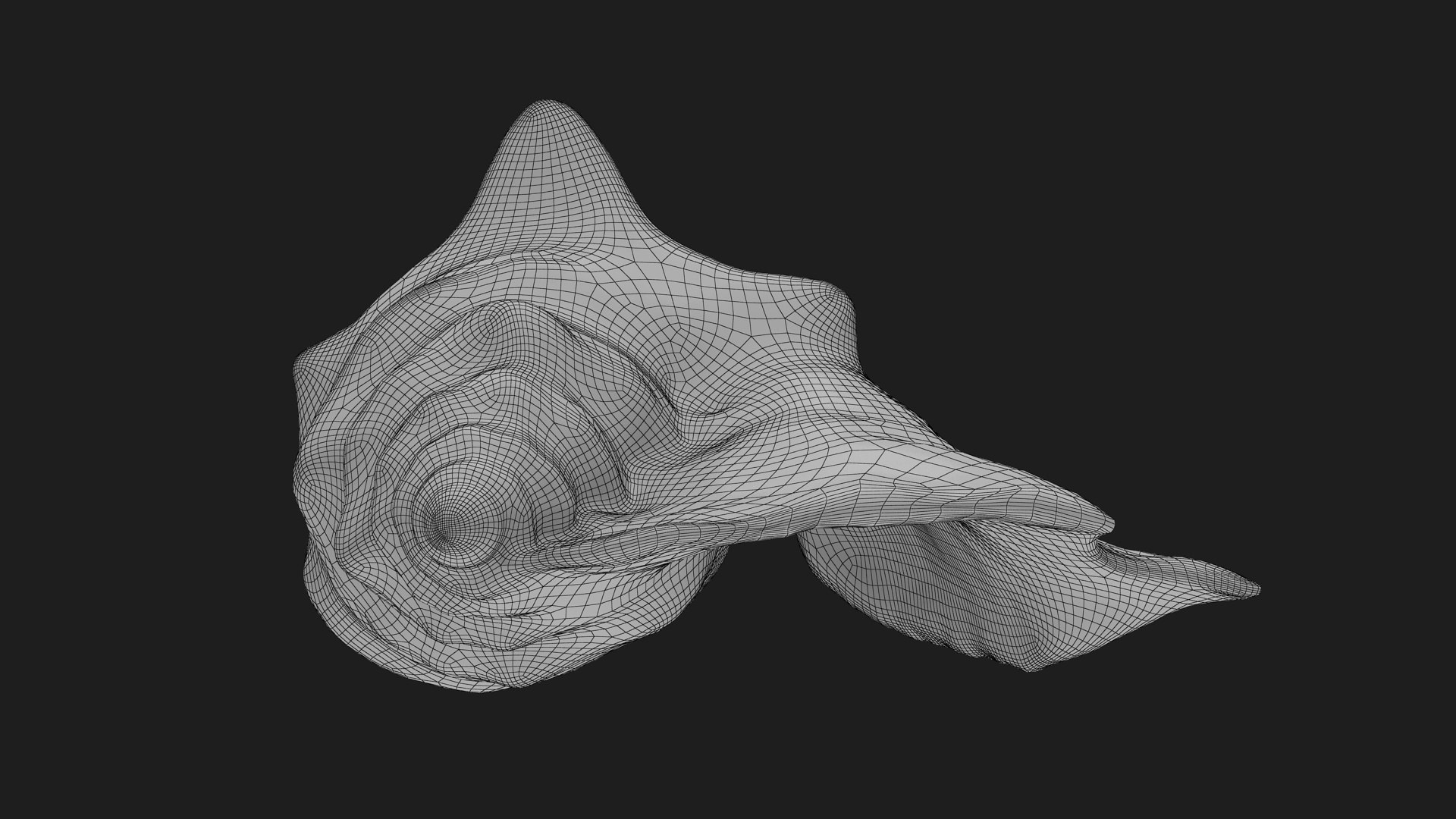 Strombus Sinuatus 01 model https://p.turbosquid.com/ts-thumb/T1/iudnDP/F6/strombussinuatus1_g0004/jpg/1746284510/1920x1080/fit_q87/e2e92a9c66f1413d17b6843591958c41a7288447/strombussinuatus1_g0004.jpg