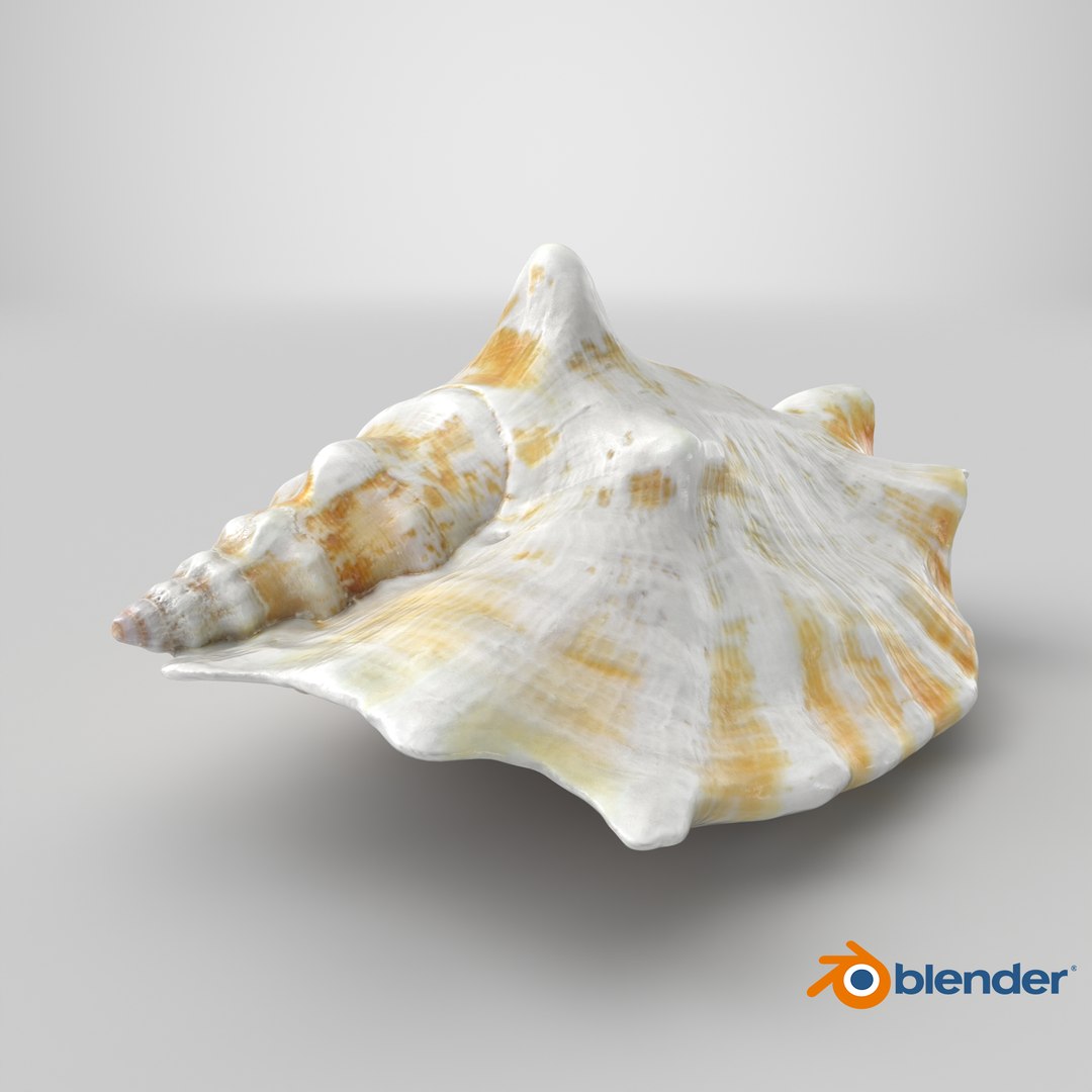 Strombus Sinuatus 01 model https://p.turbosquid.com/ts-thumb/T1/iudnDP/Gr/stemcell_blender_cycles_render/png/1746450575/1920x1080/fit_q87/af20022c91b20606b9ea0f836ed067ecc4a2e093/stemcell_blender_cycles_render.jpg