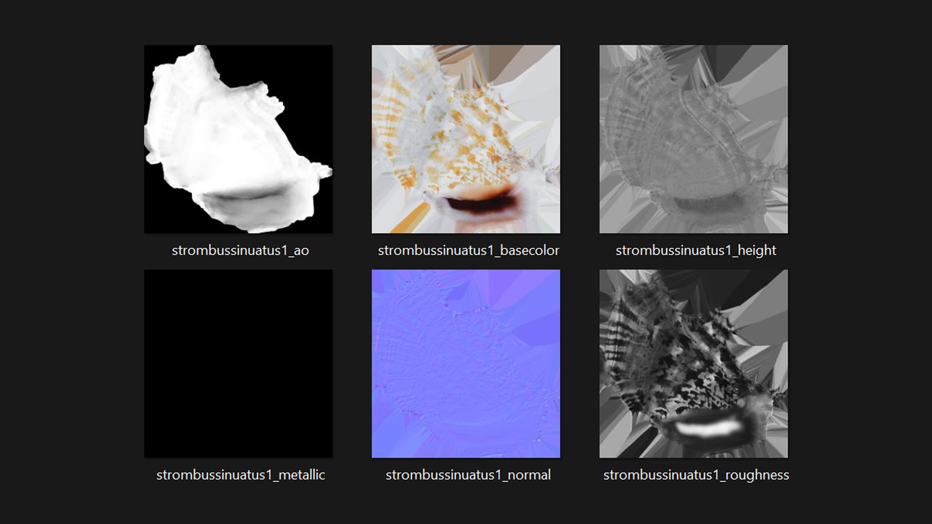 Strombus Sinuatus 01 model https://p.turbosquid.com/ts-thumb/T1/iudnDP/zp/strombussinuatus1_d0005/jpg/1746284507/1920x1080/fit_q87/ea19fd914f4c0b0a50ea73e7071c5bf246215002/strombussinuatus1_d0005.jpg