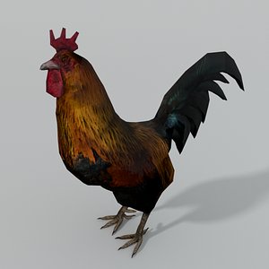 Rooster