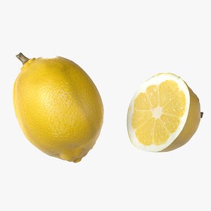 3D model Lemon Fruit